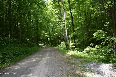 Shady Valley Rd, Ewing, VA 24248 photo 4
