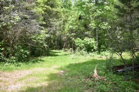 Shady Valley Rd, Ewing, VA 24248 photo 14
