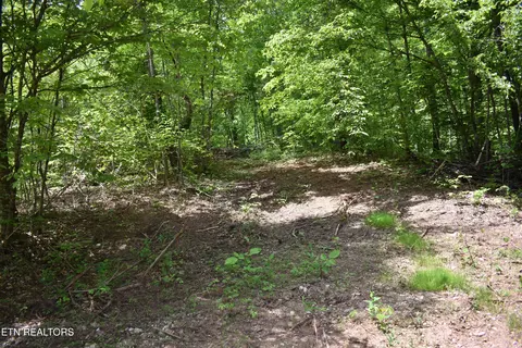 Shady Valley Rd, Ewing, VA 24248 photo 15
