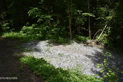 Shady Valley Rd, Ewing, VA 24248 photo 3