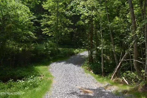 Shady Valley Rd, Ewing, VA 24248 photo 28