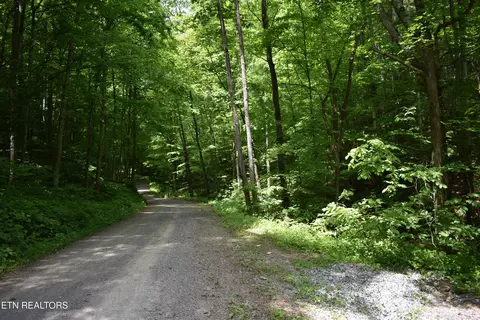 Shady Valley Rd, Ewing, VA 24248