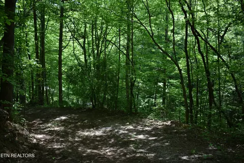 Shady Valley Rd, Ewing, VA 24248 photo 8