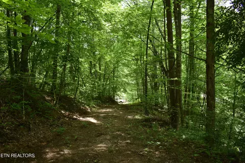 Shady Valley Rd, Ewing, VA 24248 photo 26
