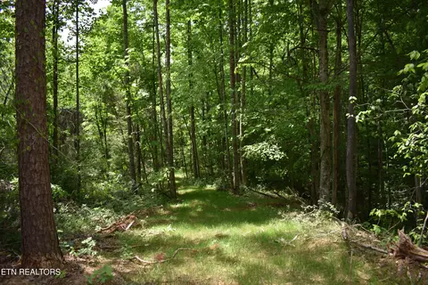 Shady Valley Rd, Ewing, VA 24248 photo 25