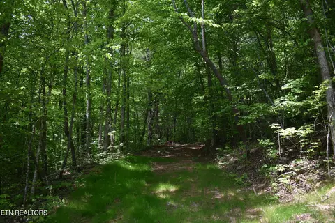 Shady Valley Rd, Ewing, VA 24248 photo 6