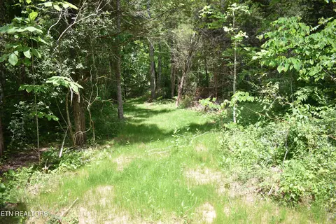 Shady Valley Rd, Ewing, VA 24248 photo 19