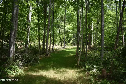 Shady Valley Rd, Ewing, VA 24248 photo 21