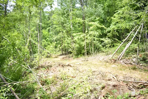 Shady Valley Rd, Ewing, VA 24248 photo 22