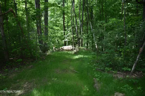 Shady Valley Rd, Ewing, VA 24248 photo 20