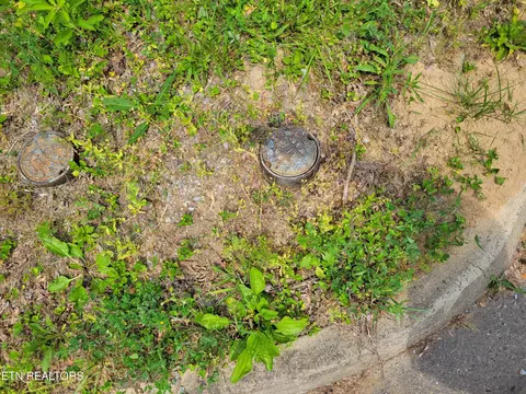 lot11 Peace Ln, Cosby, TN 37722