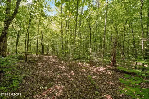 1322 E Millers Cove Rd, Walland, TN 37886