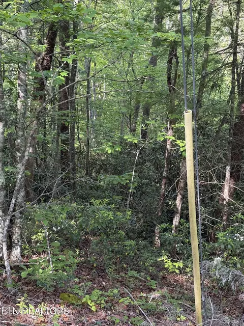 lot6 Walnut Flats Rd, Walland, TN 37886