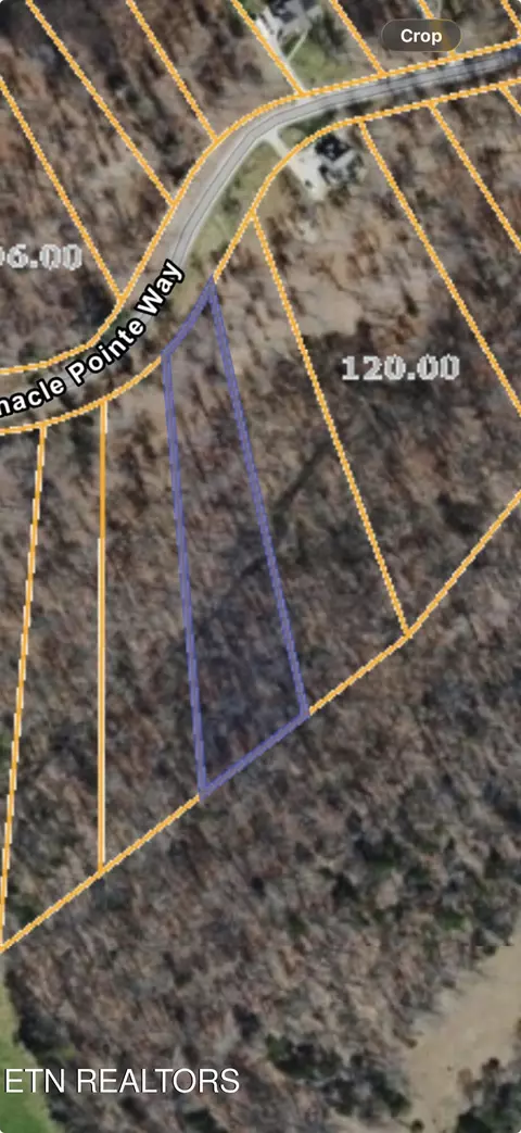 lot79 Pinnacle Pointe Way, Sharps Chapel, TN 37866