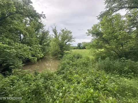 Livesay Chapel Rd, Kyles Ford, TN 37765