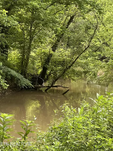 Livesay Chapel Rd, Kyles Ford, TN 37765