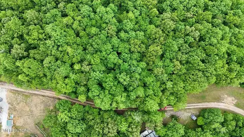0 Sheep Ranch Rd, Oneida, TN 37841