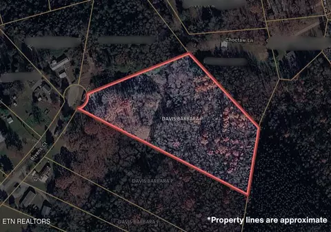 200 Bivens Ct, Niota, TN 37826
