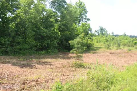 Tract 1 N Nopone Valley Rd, Decatur, TN 37322