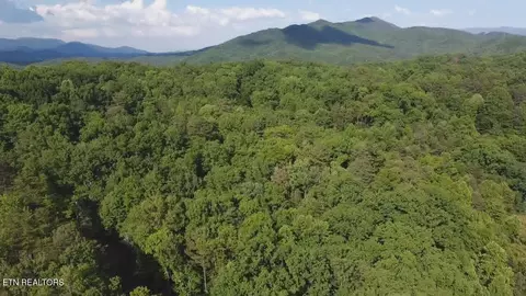 Fox Hunters Lane, Sevierville, TN 37876
