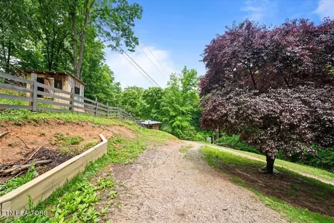 Exterior - 578 Fox Branch Rd, Clairfield, TN 37715 photo 6 of 10