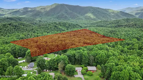 Flat Rd, Cosby, TN 37722