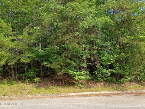 Tanger Court, Harriman, TN 37748