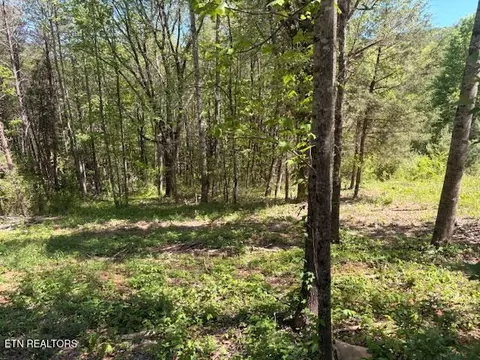 lot12 Bivens Ct, Niota, TN 37826