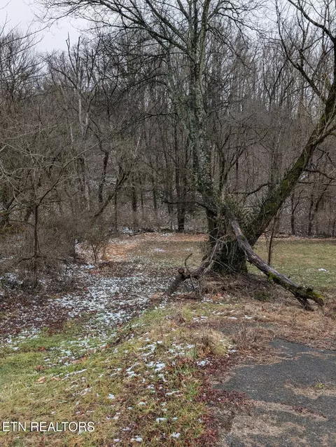 0 Rutledge Pike #0, Corryton, TN 37721