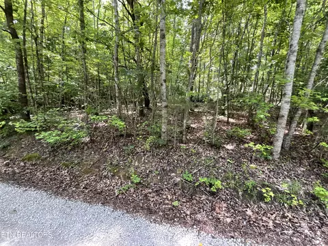 134 Anna Laura Lane, Rockwood, TN 37854