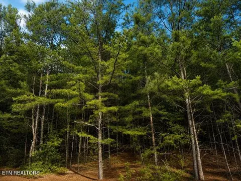 lot12 County Road 754, Riceville, TN 37370