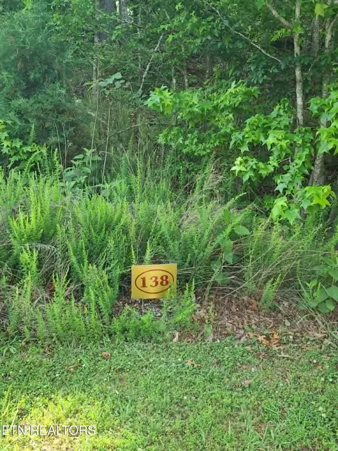 lot138 E Shore Dr #138, Rockwood, TN 37854