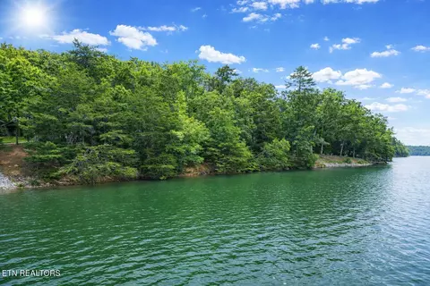 Eagle Point Drive, Rockwood, TN 37854