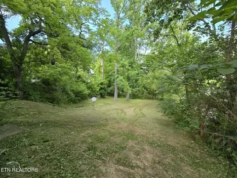Exterior - 18700 Alberta St, Oneida, TN 37841 photo 7 of 8