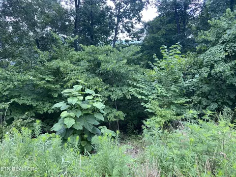 Whistle Valley Rd, New Tazewell, TN 37825