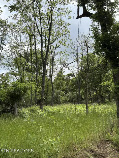 0 Grubb Rd, Lenoir City, TN 37771