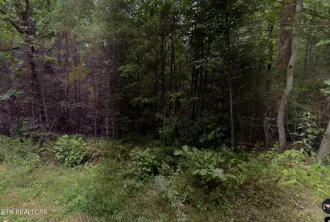Gladys Rd, Deer Lodge, TN 37726