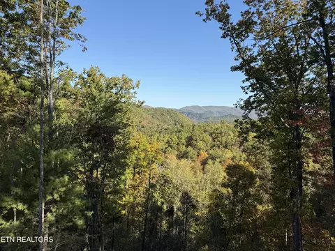 1 Mule #122, Sevierville, TN 37862