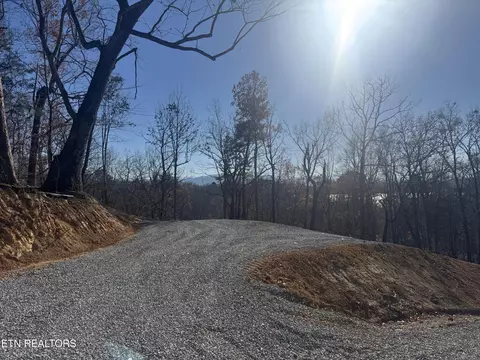 Iron Gate Drive, Baneberry, TN 37890