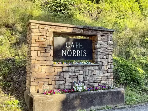 376 Norris View Dr, New Tazewell, TN 37825