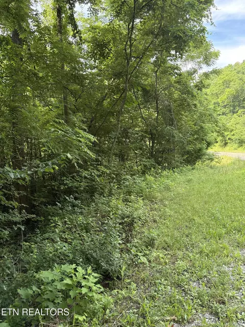 5787 Highway 297, Pioneer, TN 37847