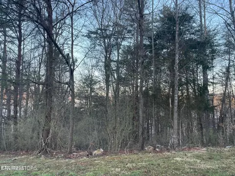 lot14 Hiwassee Dr, Jacksboro, TN 37757