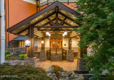 215 Woliss Ln UNIT 313, Gatlinburg, TN 37738