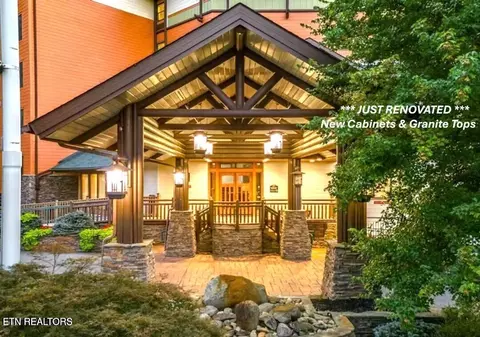 215 Woliss Ln UNIT 313, Gatlinburg, TN 37738