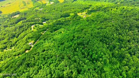 tbd Majestic Dr, Duffield, VA 24244 photo 4