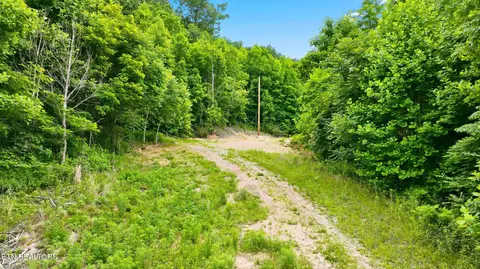 tbd Majestic Dr, Duffield, VA 24244 photo 13