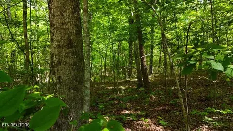 lot37 38a T Crowe Cir, Soddy Daisy, TN 37379