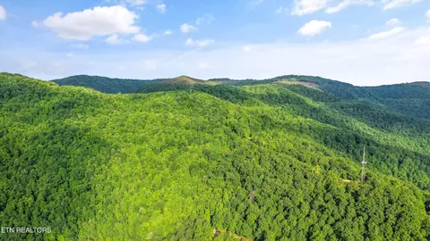 Mountain Rd, Caryville, TN 37714