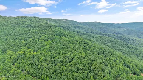 Mountain Rd, Caryville, TN 37714