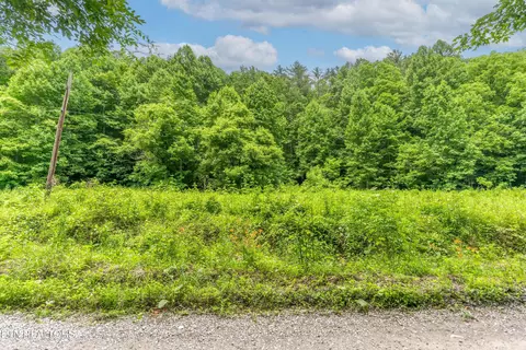 Johns Creek Rd, Del Rio, TN 37727